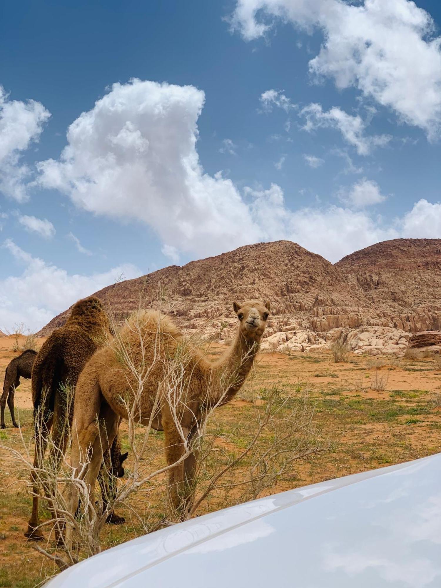 Sand Magic Camp Wadi Rum Exterior photo